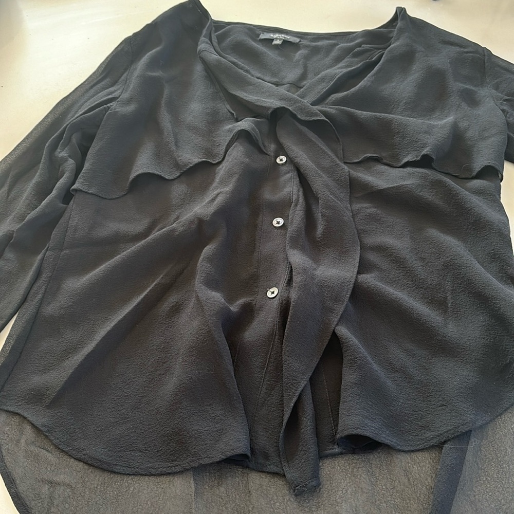 Babaton sheer silk blouse